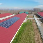Pannelli solari di impianto fotovoltaico SunPower a Ostiano (CR)