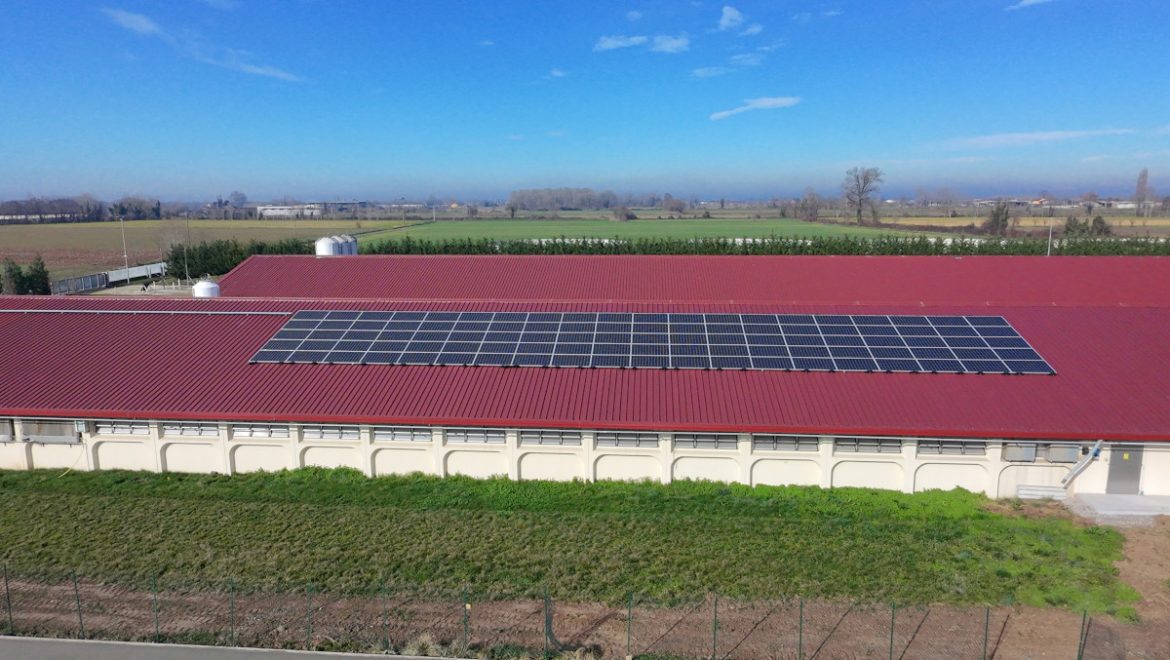 Pannelli fotovoltaici di impianto SunPower a Ostiano (CR)