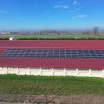 Pannelli fotovoltaici di impianto SunPower a Ostiano (CR)